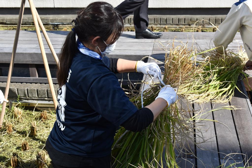  2020 Hakutsuru Ginza Tenku Rice Harvesting
　~ Hakutsuru Sake Brewery ~