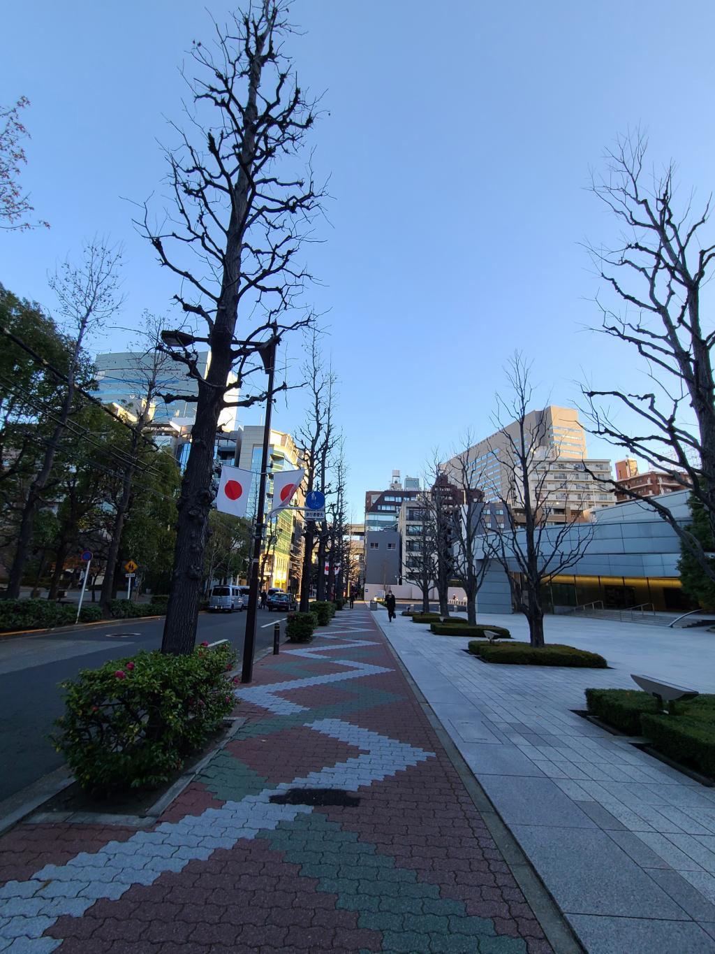 The street tree is so beautiful that you are ready for the New Year. Where is that place?