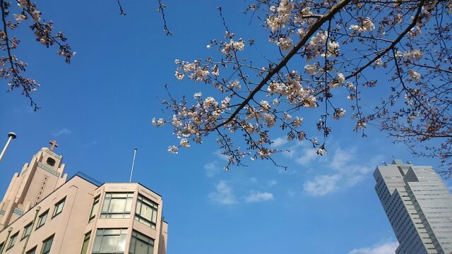 Move the monument to the birthplace of Ryunosuke Akutagawa at St. Luke University