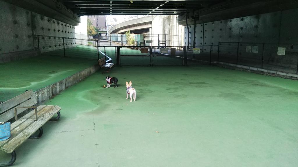  Tsukiji River Park Wanwan Square with your dog during the year-end and New Year holidays