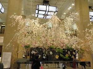 The cherry blossoms in Nihonbashi decorated Nihonbashi in the department store are in full bloom?