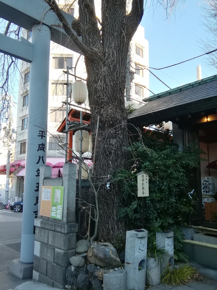  Shrine 1 in Chuo-ku, a little worrisome
　~ Namishi Shrine ~