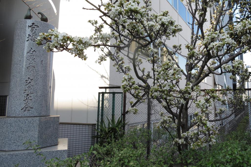 Takarabashi Park Takara guardian of children and travelers Treasure Tower, a monument to traffic safety that prays for the world The Kaede River walks through the ruins of the Kaede River from the Pear Tree Dansho Bridge, a white flower.