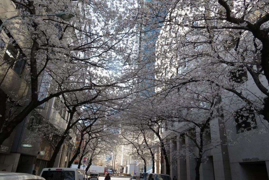 Nihonbashi Sakura-dori St. Shinbabashi Shin-Kameshimabashi walks along the site of Kaedegawa from Danshobashi to the site of Kaedegawa is Momijigawa.