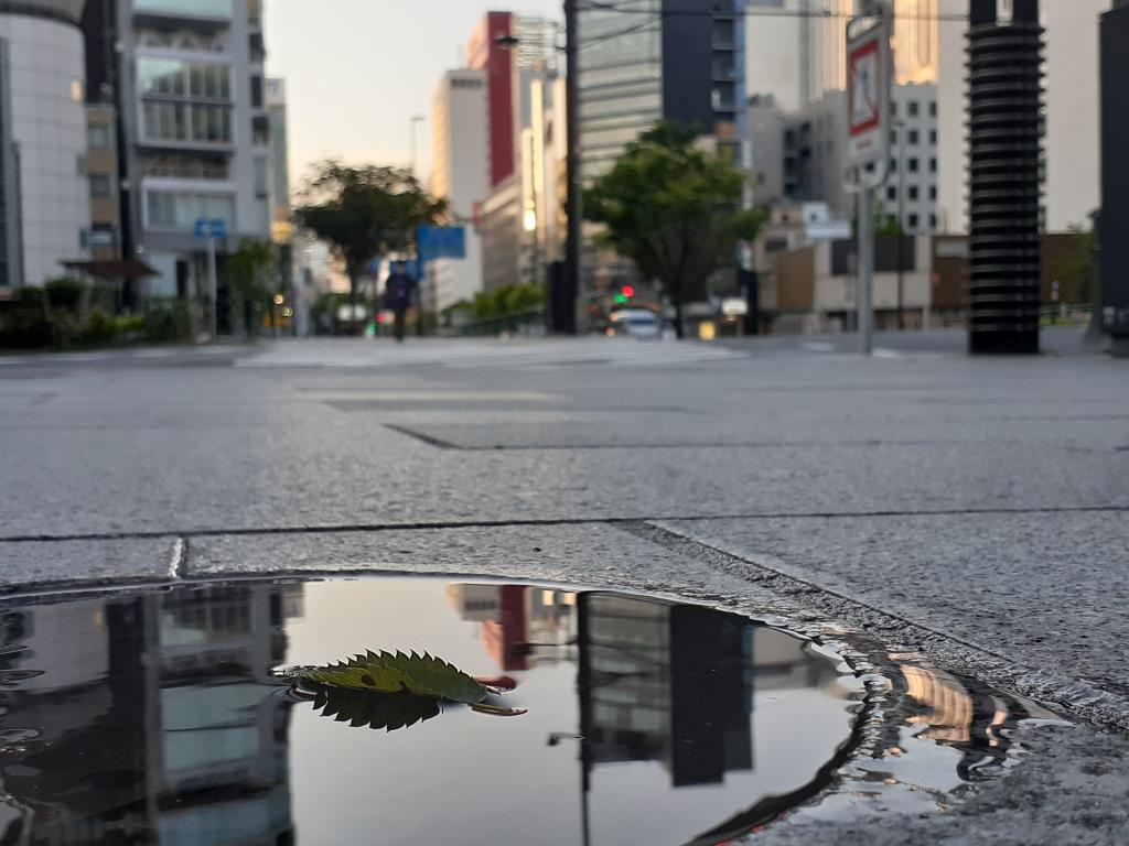  Scenery that can only be seen after the rain-Change your eyes and shoot a wonderful piece! ～