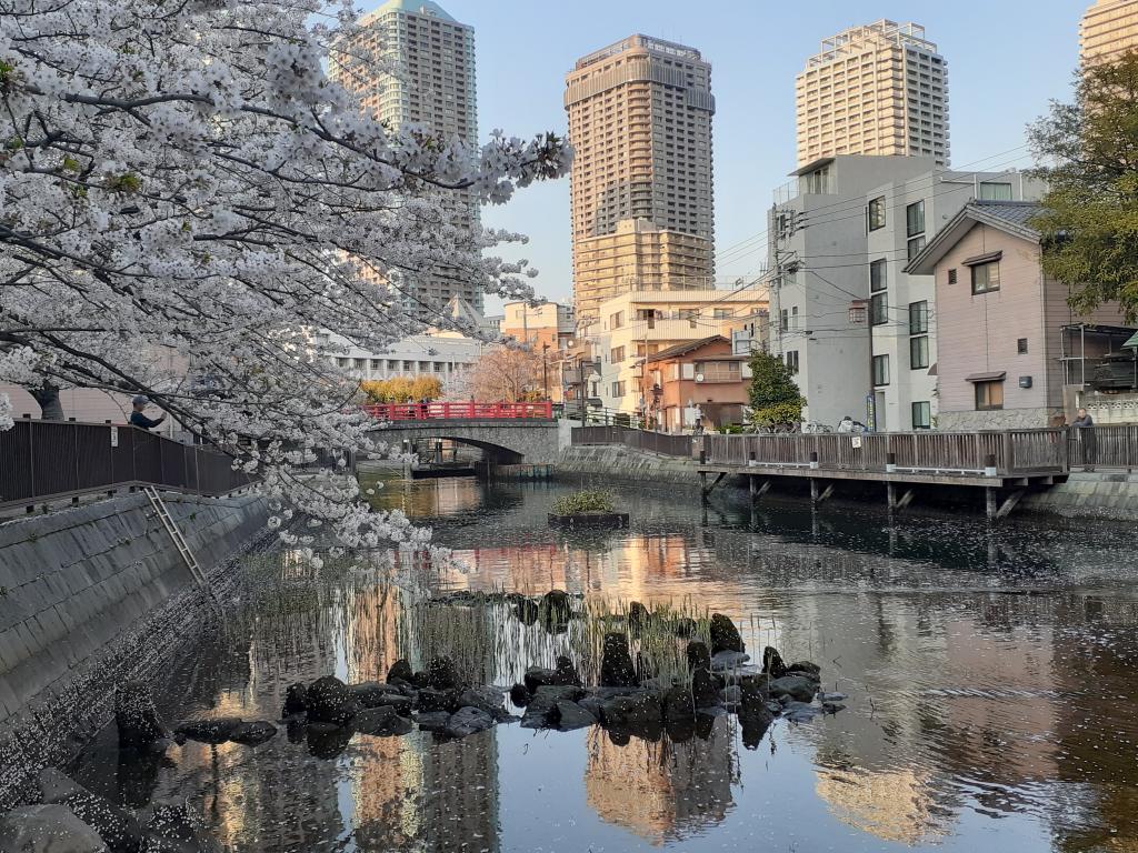  Scenery that can only be seen after the rain-Change your eyes and shoot a wonderful piece! ～