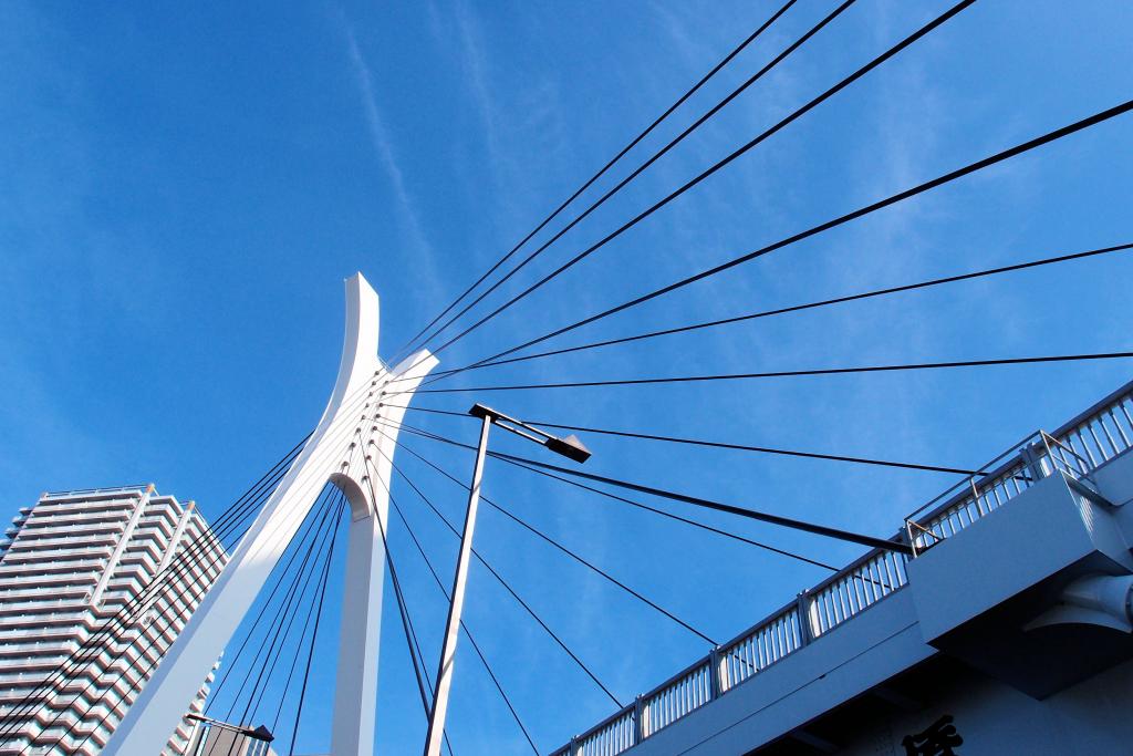  Pass through several bridges on the Sumida River