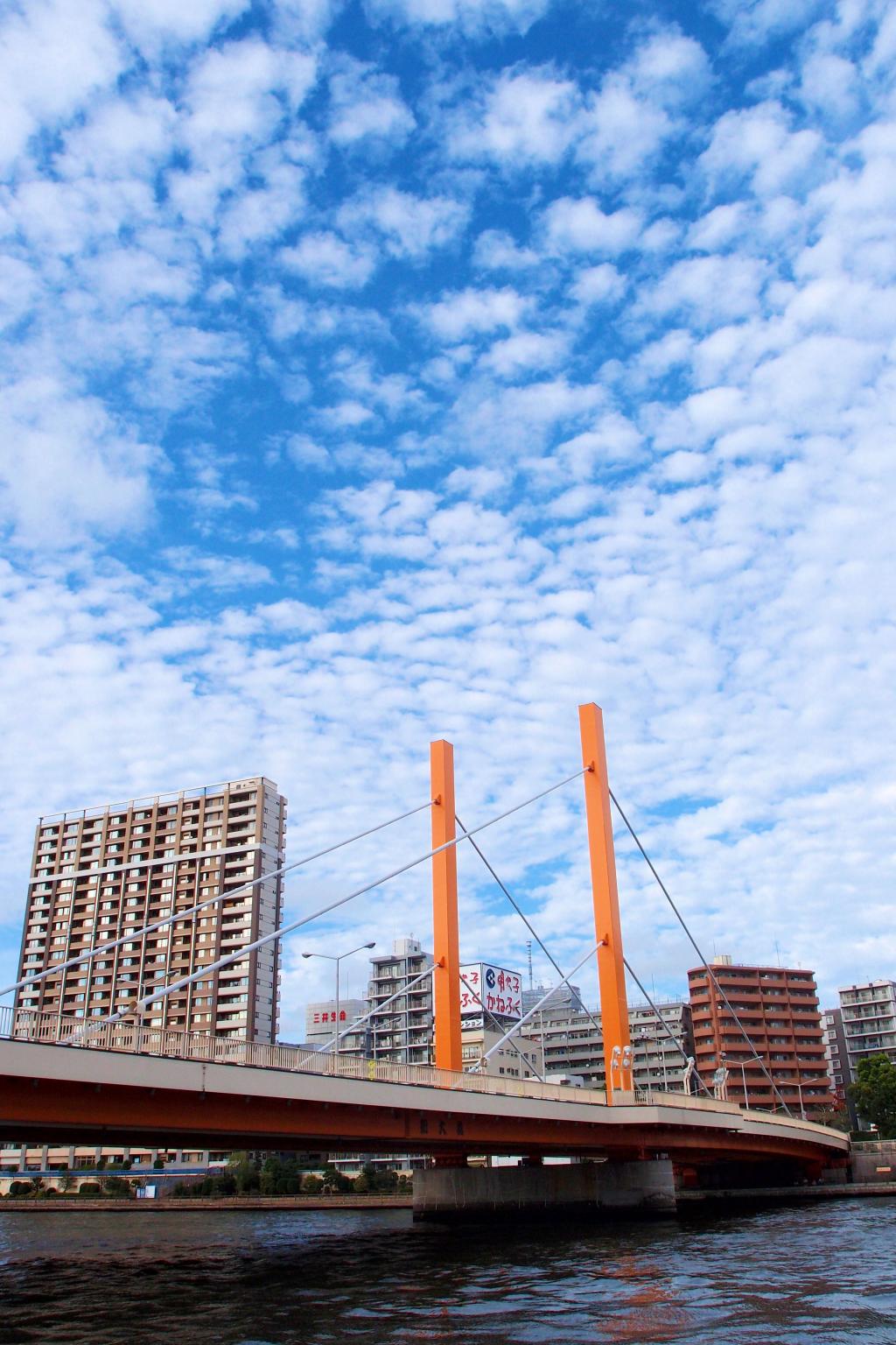  Pass through several bridges on the Sumida River