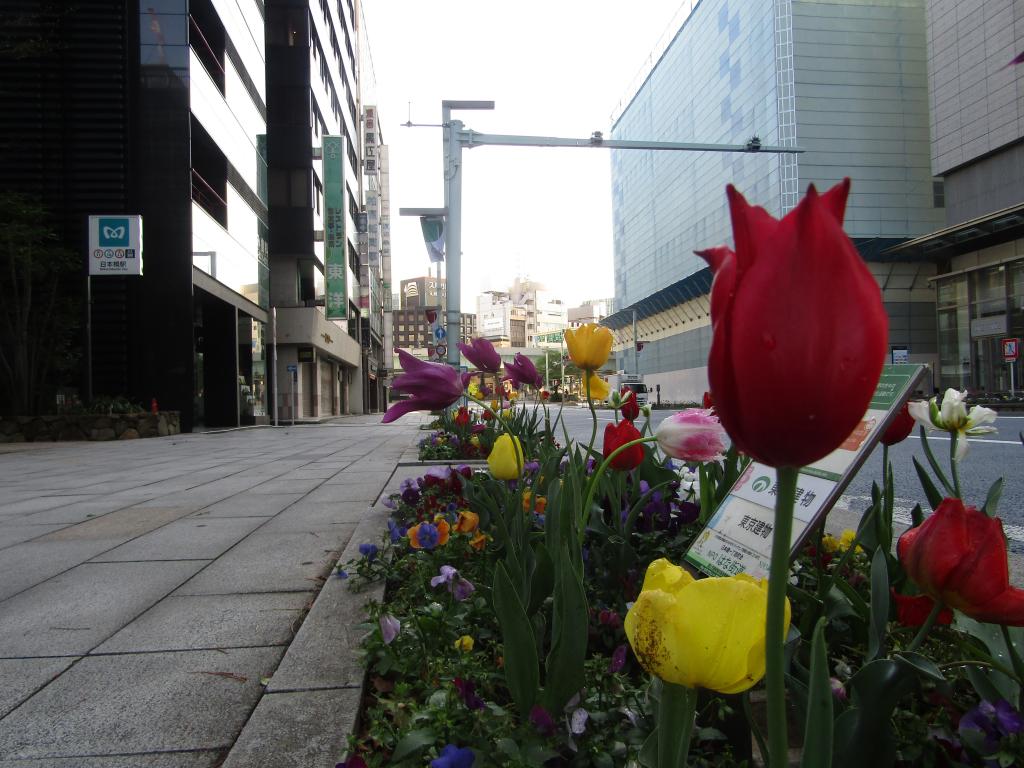  Chuo-ku-ku-May edition with birth flowers