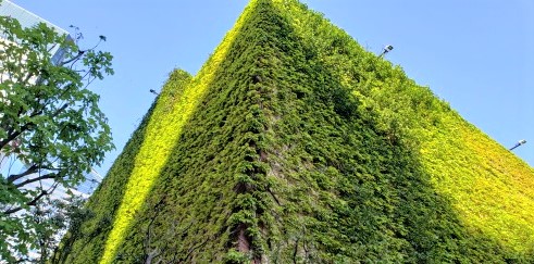  [Flowers, Greenery and Water]
It is recommended to walk around the garden at Harumi Triton Square.