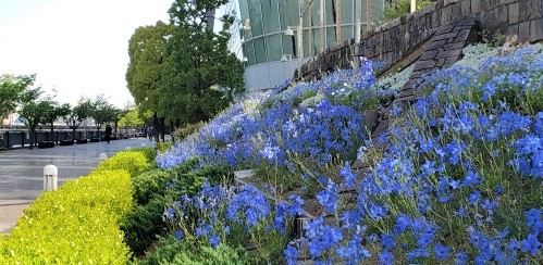  [Flowers, Greenery and Water]
It is recommended to walk around the garden at Harumi Triton Square.