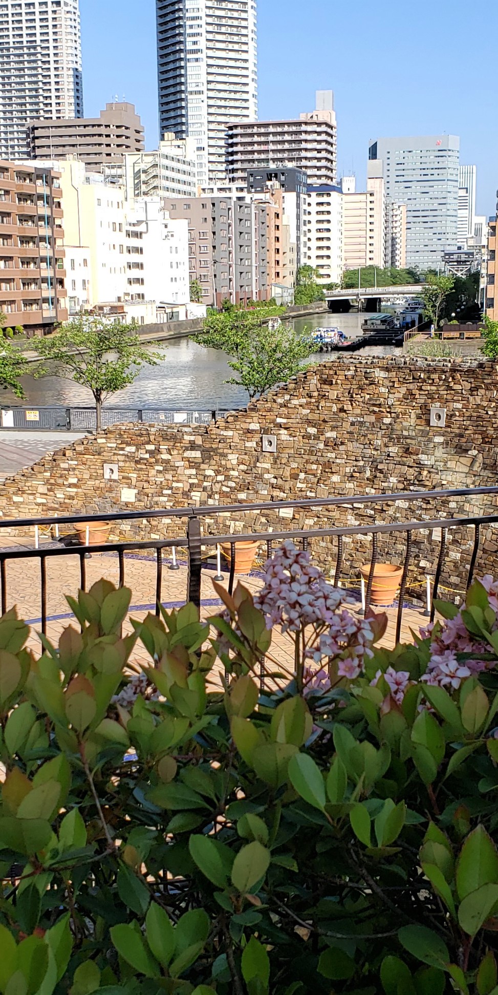  [Flowers, Greenery and Water]
It is recommended to walk around the garden at Harumi Triton Square.