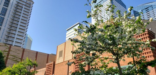  [Flowers, Greenery and Water]
It is recommended to walk around the garden at Harumi Triton Square.