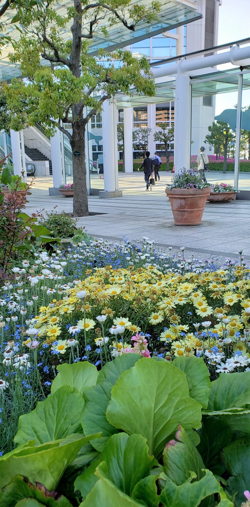  [Flowers, Greenery and Water]
It is recommended to walk around the garden at Harumi Triton Square.