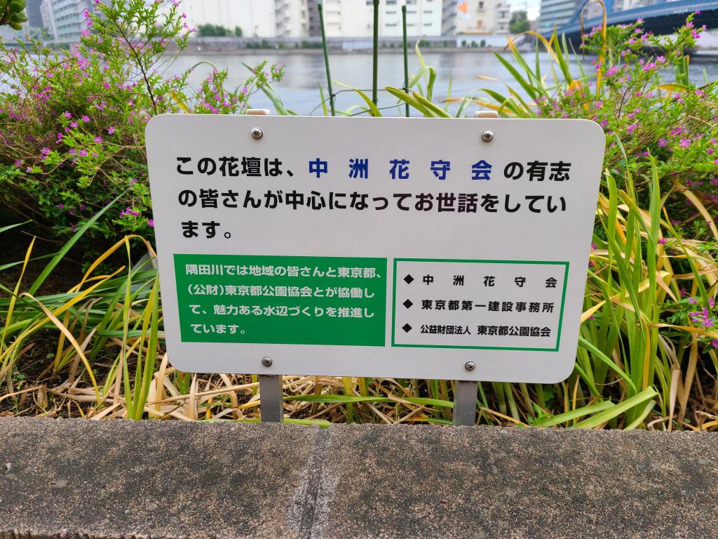  A flower bed that colors the waterside of the Sumida River. Do you know the distribution?