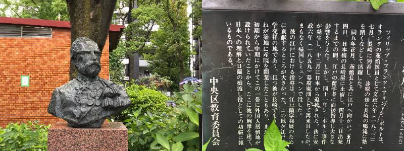 Siebold, Daughter Rice, and Chuo-ku Shimo hydrangea in the rainy season sky is best seen.