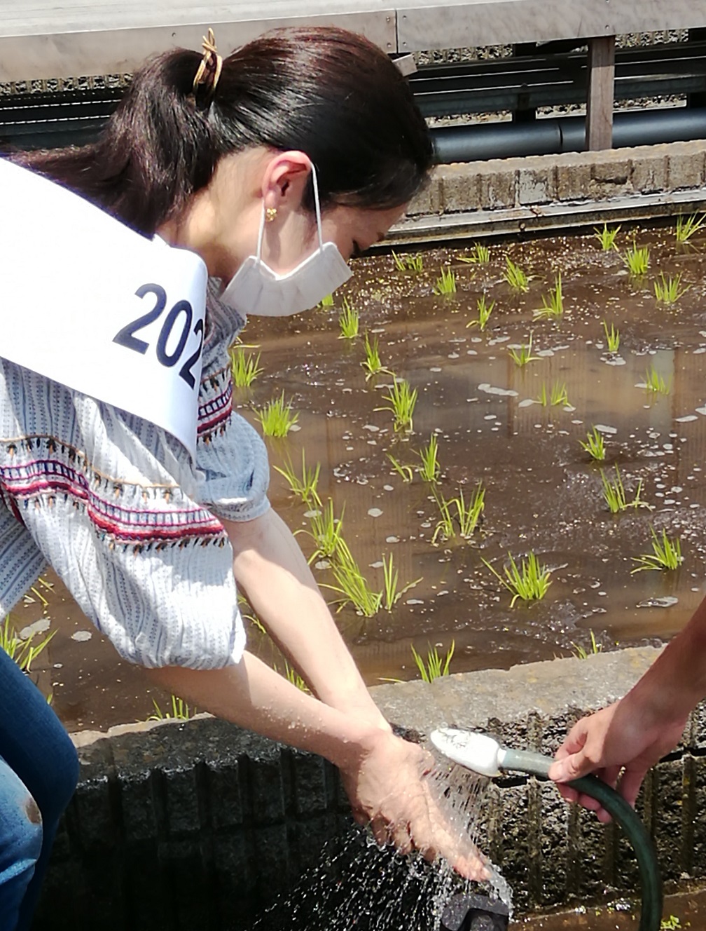  Hakutsuru Ginza Tenku Farm 2021 rice planting again this year.
　　~ Hakutsuru Sake Brewery ~