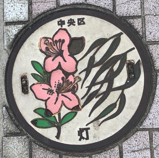 "Manhole cover" with azaleas and willows drawn round one in Chuo-ku