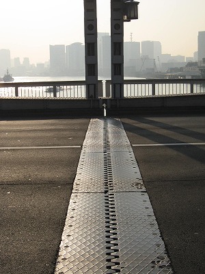 Remnants of the Jumping Bridge Memories of Kachidokibashi