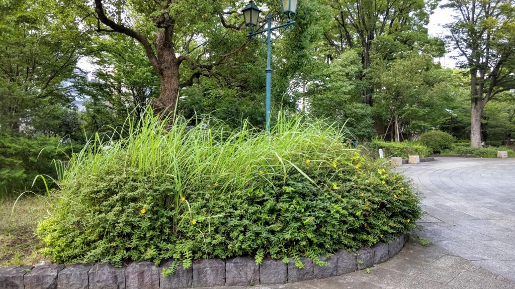  Where did it disappear? The ruins of the prefectural residence of the Kamono Mabuchi.