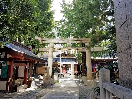  A complex building with osmanthus