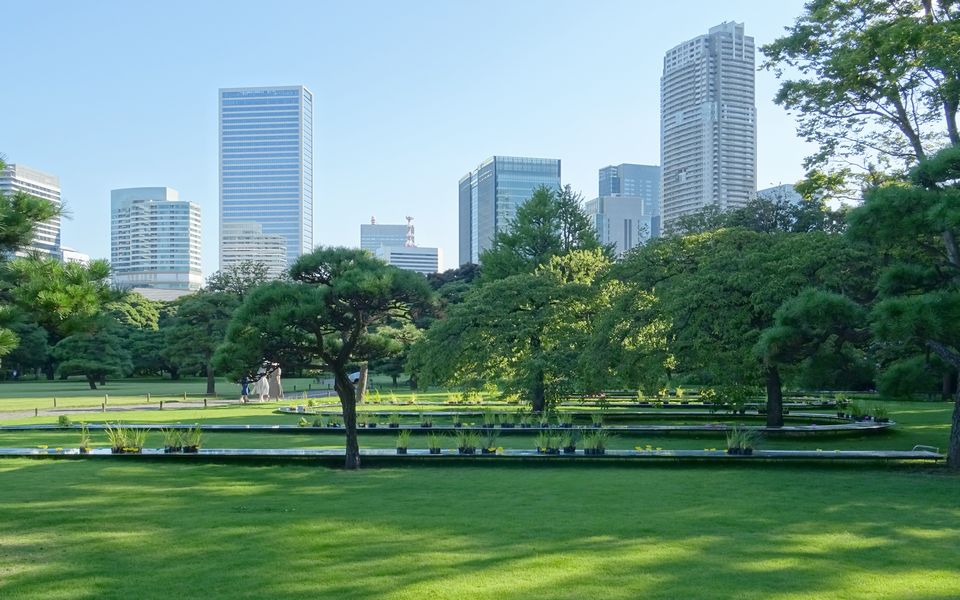 Limited installation period as part of "Pavilion Tokyo 2021"!　"Suimei" in Hamarikyu Gardens