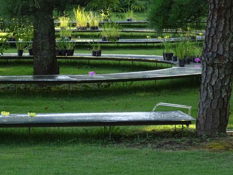  Time-limited　"Suimei" in Hamarikyu Gardens