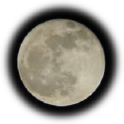  2021 Mid-Autumn Moon (15 Nights)