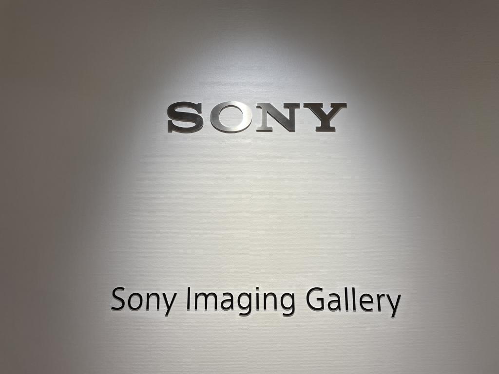 Healing is waiting at the Sony Imaging Gallery Photo Exhibition-Sony Imaging Gallery Ginza-