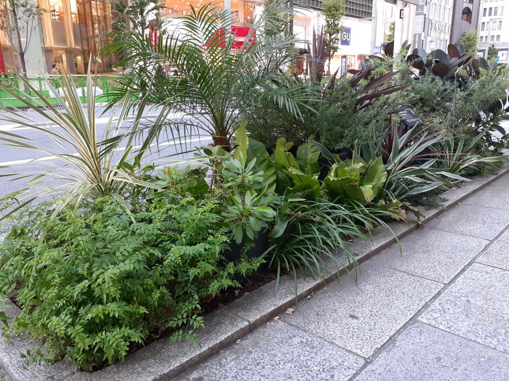  NEW GINZA STREETSCAPE-Japanese tradition and global warming considered on the street corner of Ginza