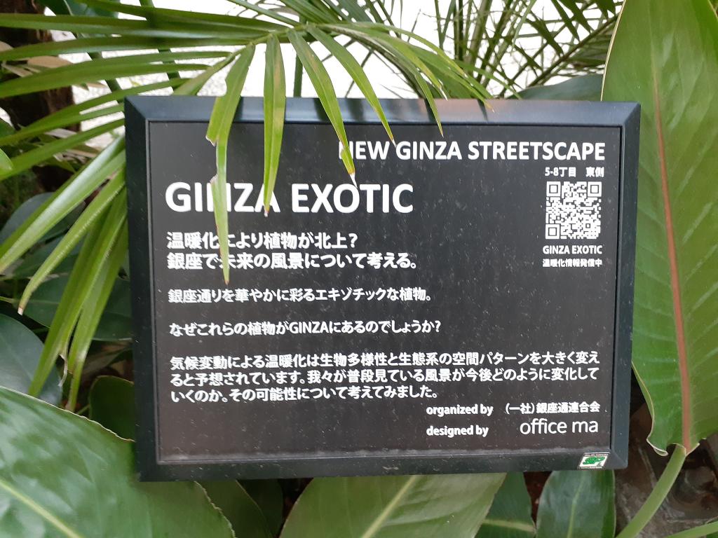  NEW GINZA STREETSCAPE-Japanese tradition and global warming considered on the street corner of Ginza