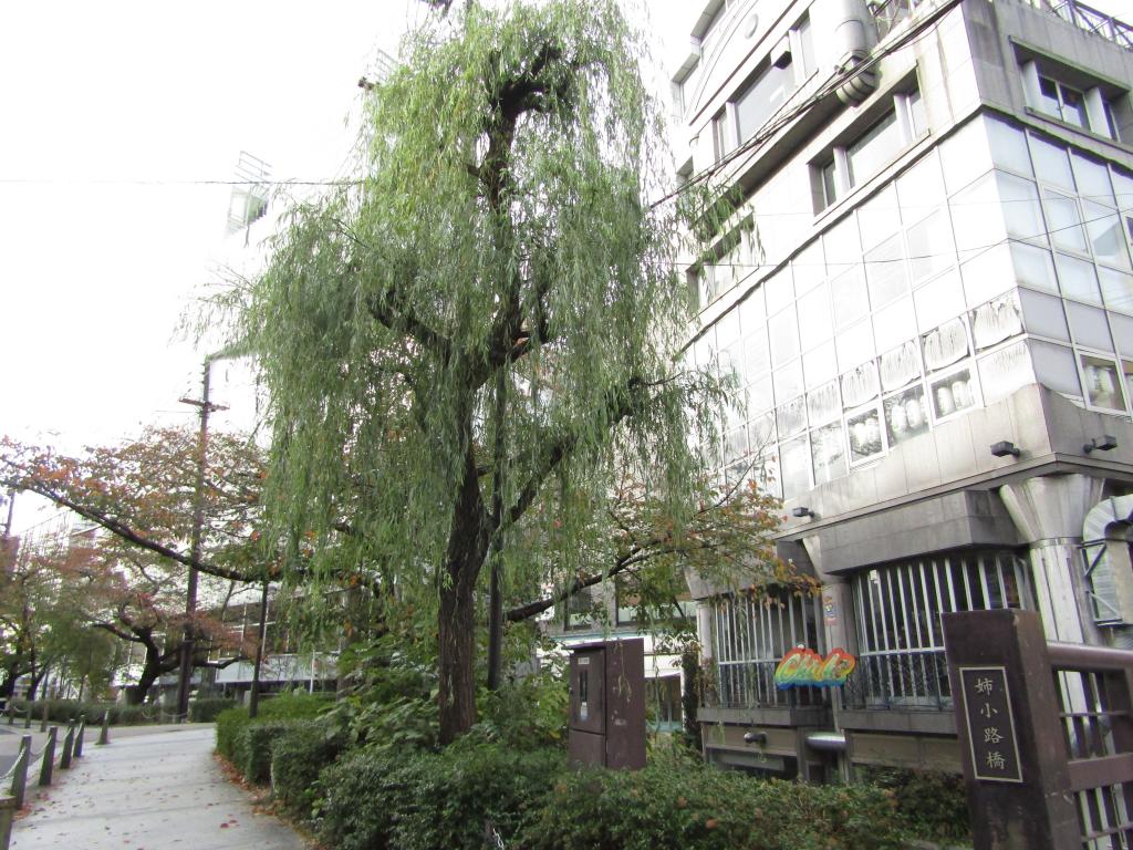  [The 32nd Excursion Series] It was also in Kyoto! Willow in Ginza