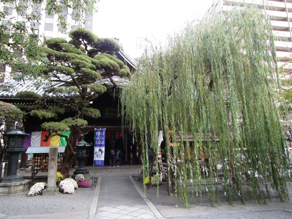  [The 32nd Excursion Series] It was also in Kyoto! Willow in Ginza