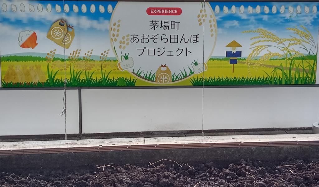 Experience rice planting and harvesting on the rooftop of food education for local elementary school children　　

 Prenas Tokyo Head Office U.S. Culture Succession Business Activities
