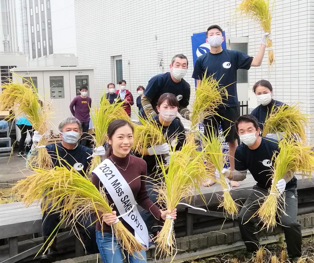  2021 Hakutsuru Ginza Tenku Rice Harvesting
　　~ Hakutsuru Sake Brewery ~