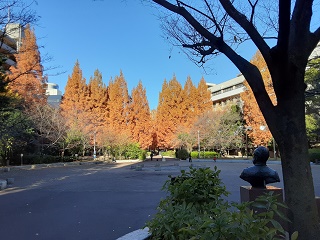 You can enjoy the autumn leaves in the near future.