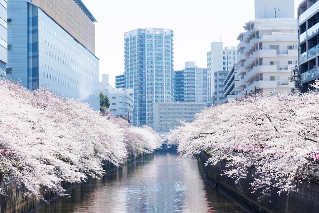  [Nihonbashimuromachi] OGGI (Oggi), a gem of Western confectionery that breathes the thoughts of the founder, Nihonbashi Mitsukoshi Main Store