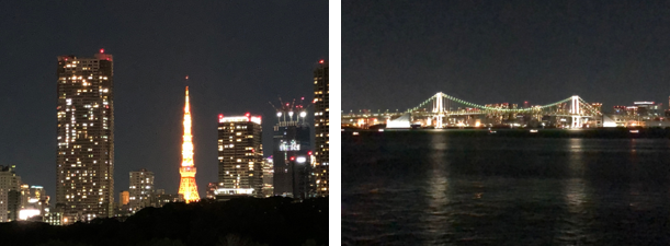 Tokyo Tower and Rainbow Bridge Night Chuo-ku: Mikiko Ishii's work tour