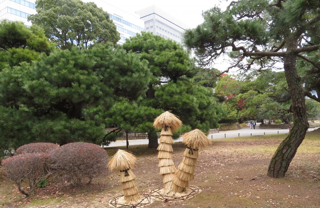 "Warabocchi" which protects winter tradition plants from frost and snow at the early spring of Hamarikyu Onshi Garden　