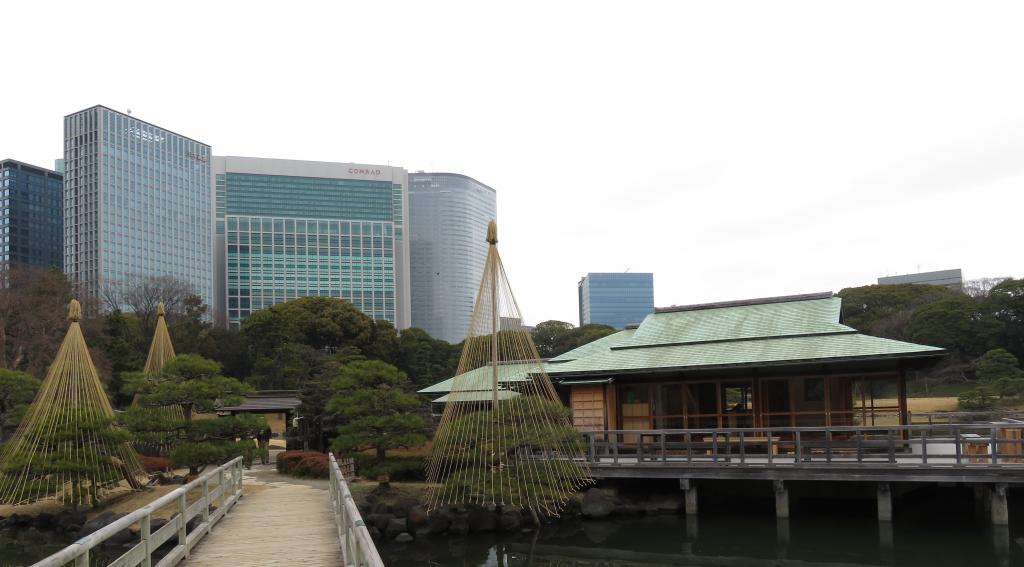 The dress of the early spring of the Yuzuri Hamarikyu Garden　