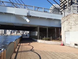 Seismic reinforcement work for seawalls Kawazu Sakura, which was also here.