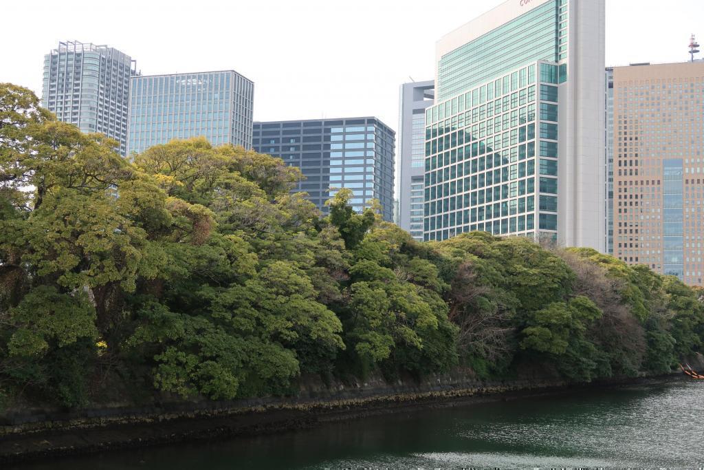 Urban oasis Gourmet Tsukiji Ohashi Walking