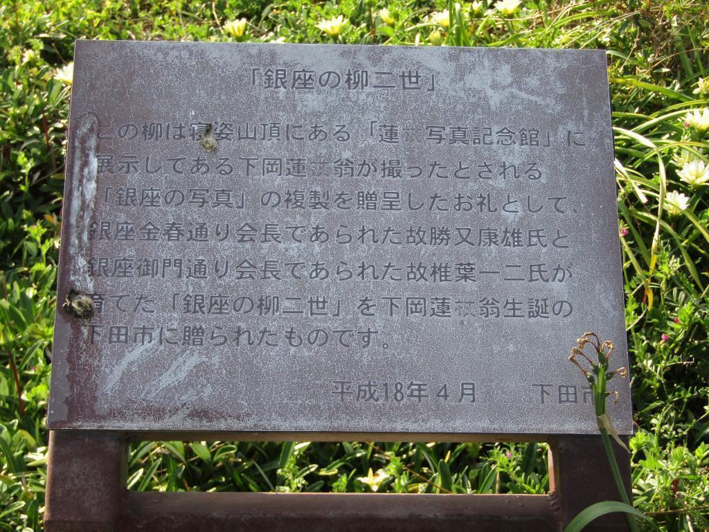  [The 36th Excursion Series] The footsteps of the founder of a Japanese photographer seen in willows in Ginza