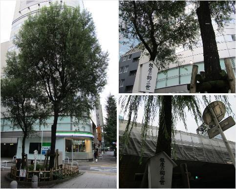  [The 36th Excursion Series] The footsteps of the founder of a Japanese photographer seen in willows in Ginza