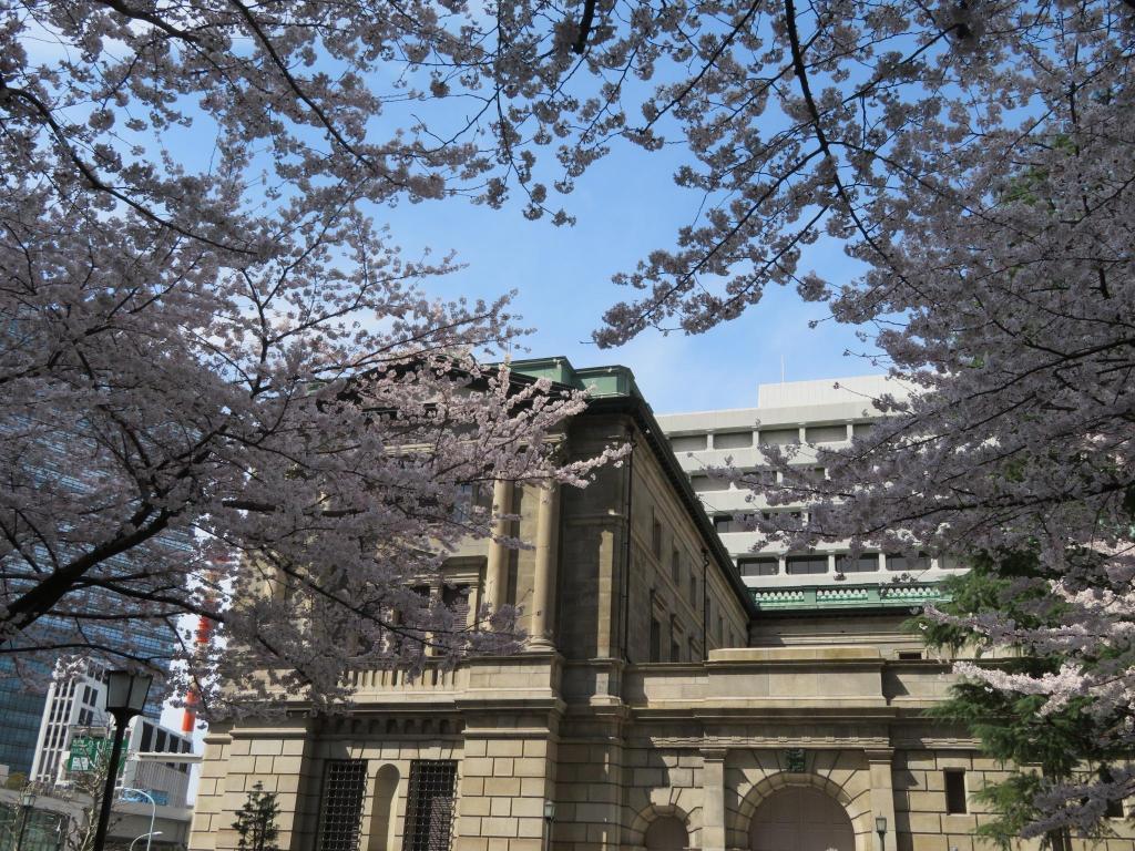  The cherry blossoms are full! Look around historic sites in Chuo-ku …6 cherry blossom spots