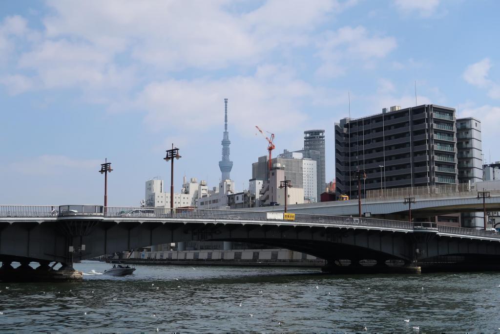 Spring performance from Ryogokubashi to Shinohashi! Let's walk The first part of "Tokyo Sky Tree" seen from the Sumida River Terrace