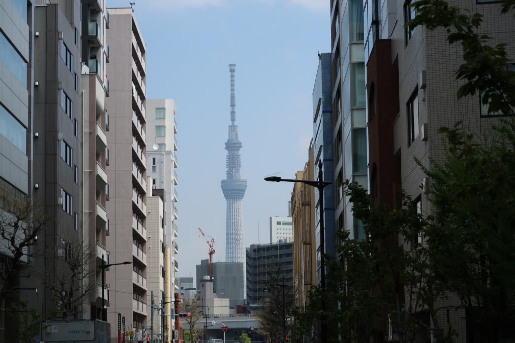 Prologue Spring Honban! Let's walk The first part of "Tokyo Sky Tree" seen from the Sumida River Terrace