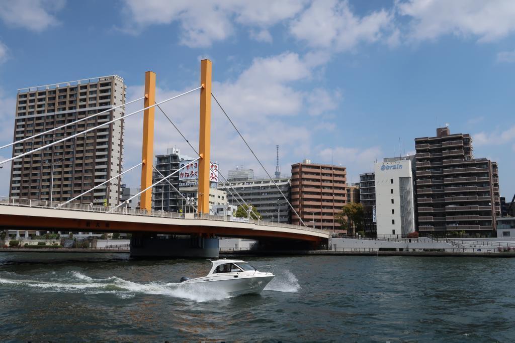 Spring performance from Shinohashi to Kiyosubashi! Let's walk The first part of "Tokyo Sky Tree" seen from the Sumida River Terrace