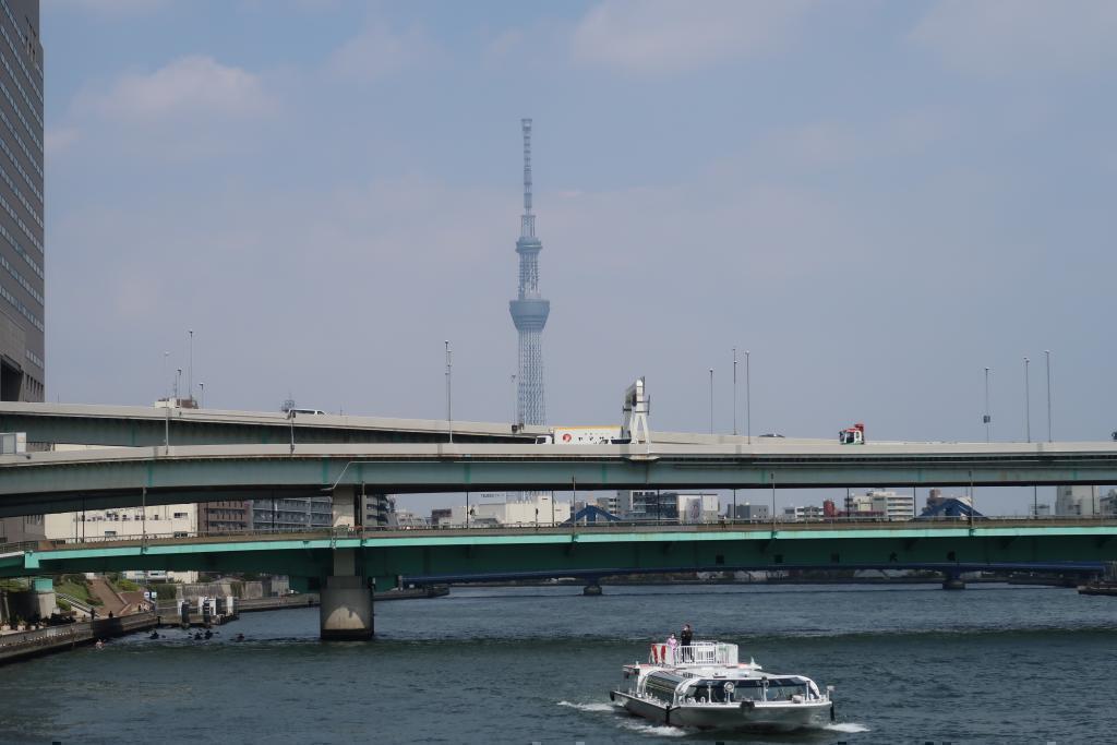 Spring performance from Sumida River Ohashi to Eitai Bridge! Let's walk The first part of "Tokyo Sky Tree" seen from the Sumida River Terrace