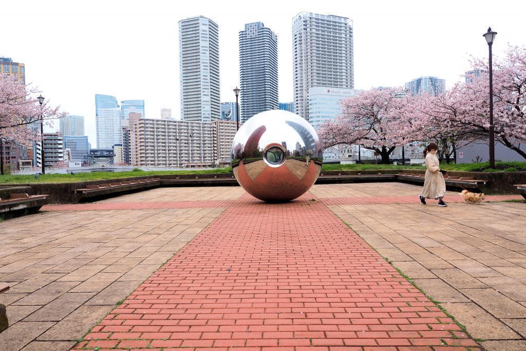  I want to roll a large ball in Sumida River Hatoba Park